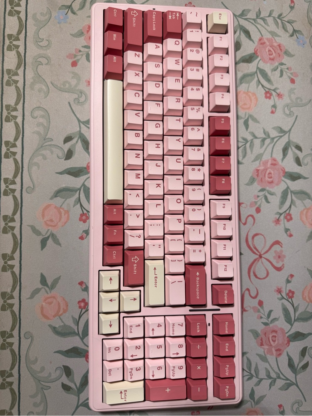 Aula F99 - Pink